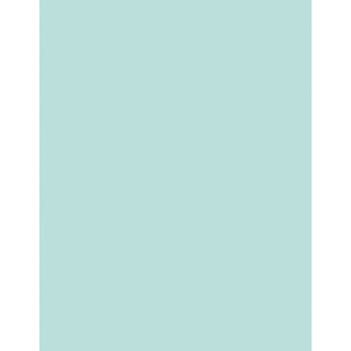 Hammermill Fore Laser, Inkjet Copy &amp; Multipurpose Paper - Green - Recycled - Letter - 8 1/2" x 11" - 20 lb Basis Weight - Smooth - 500 / Pack