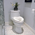 BIOS Living Raised Toilet Seat (2